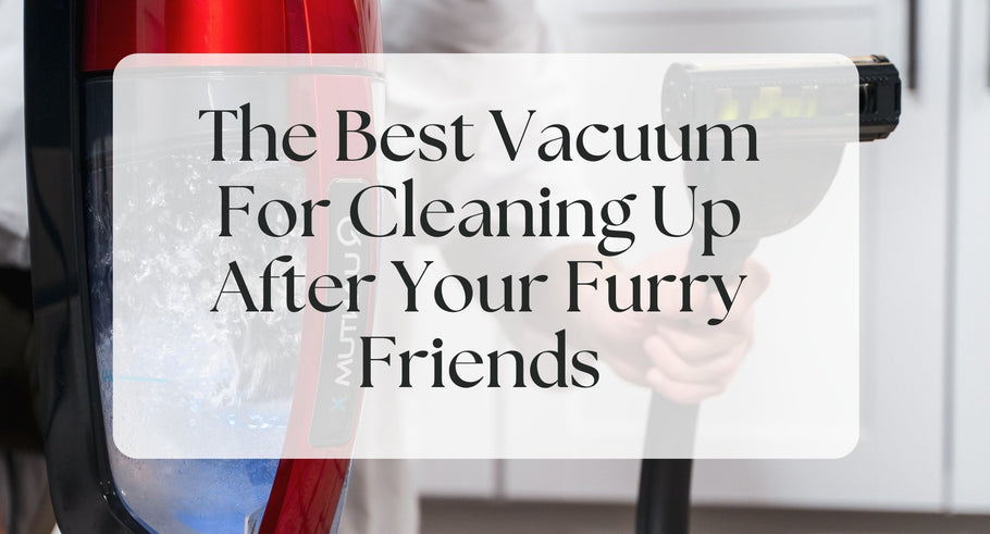 The Best Vacuum For Cleaning Up After Your Furry Friends